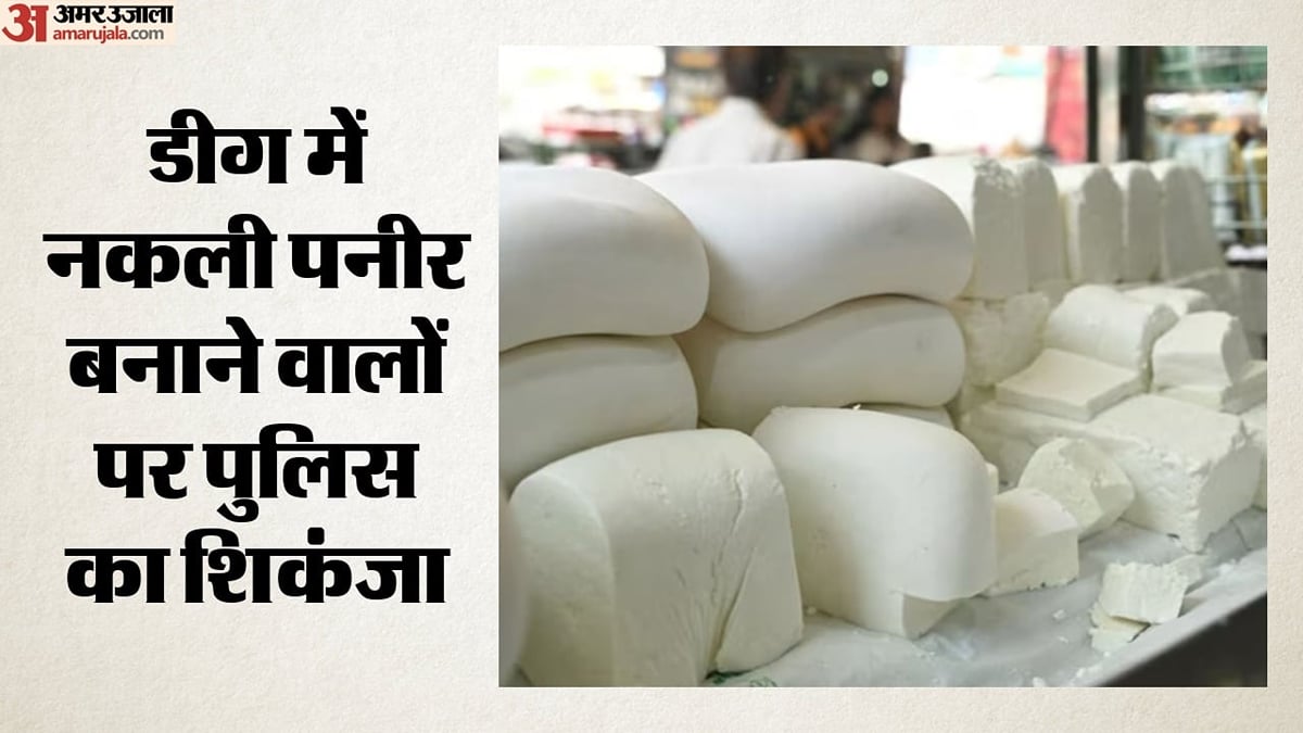 बड़ी कार्रवाई: डीग में मिलावटी पनीर के दो प्लांटों का पर्दाफाश, 1800 किलो पनीर नष्ट; मुख्य संचालक फरार