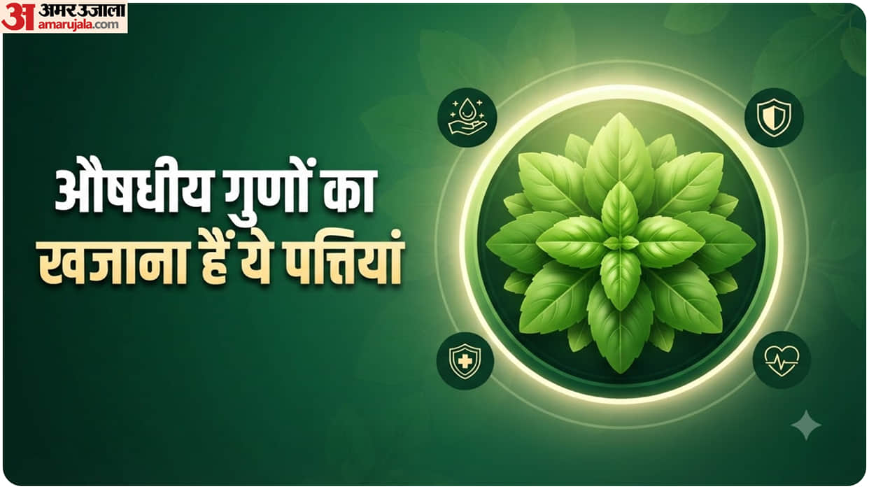 Health Benefits of Tulsi From Stress Relief to Better Digestion