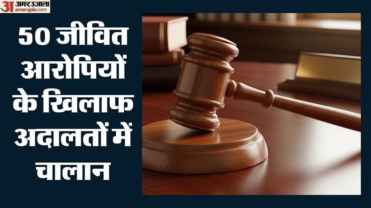 Pakistani nationals settled in the Jammu division using forged documents; charge sheets filed in eight cases.