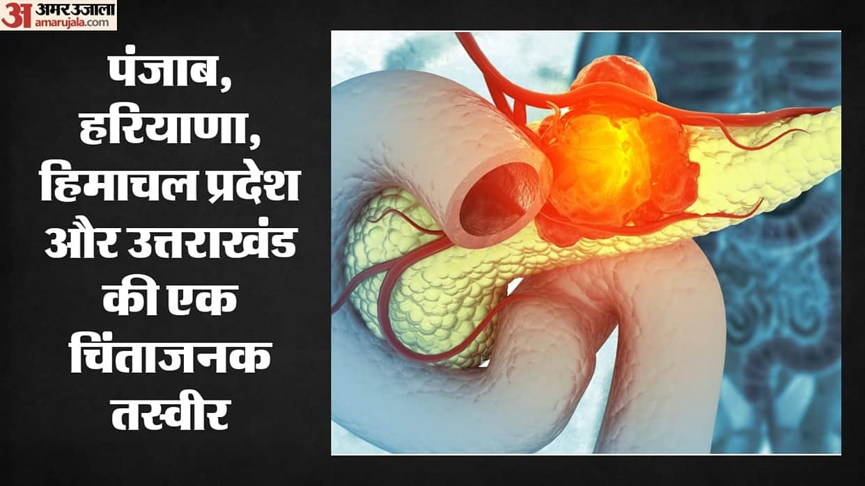 Cancer cases are rising every year; factors ranging from tobacco use to industrial activities are to blame.