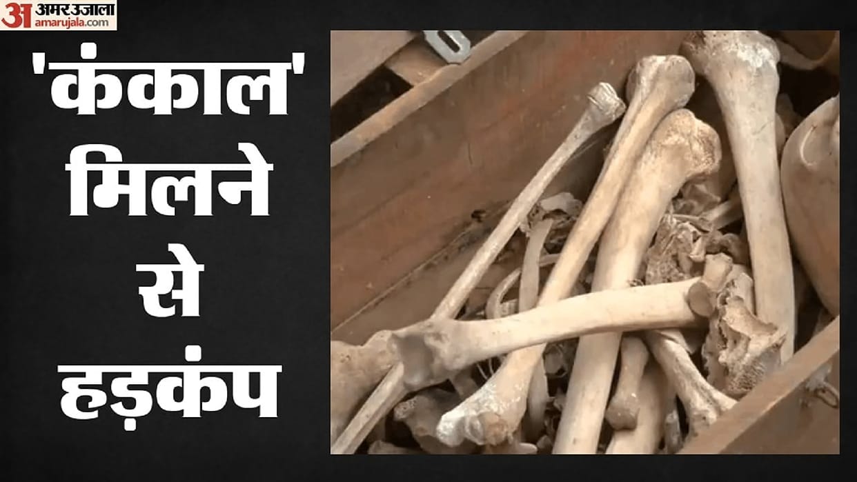 Human skeleton found during MNREGA work in Kawardha, police engaged in investigation