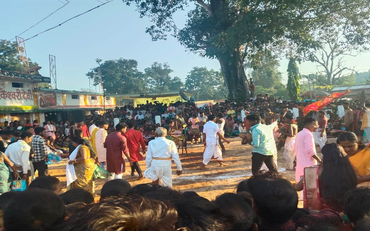 A wave of faith surged at this temple on Sharad Purnima; goats were sacrificed as per age-old tradition.