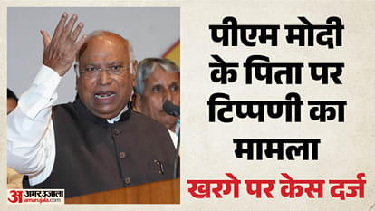 मल्लिकार्जुन खरगे, कांग्रेस अध्यक्ष