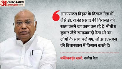 मल्लिकार्जुन खरगे, कांग्रेस अध्यक्ष