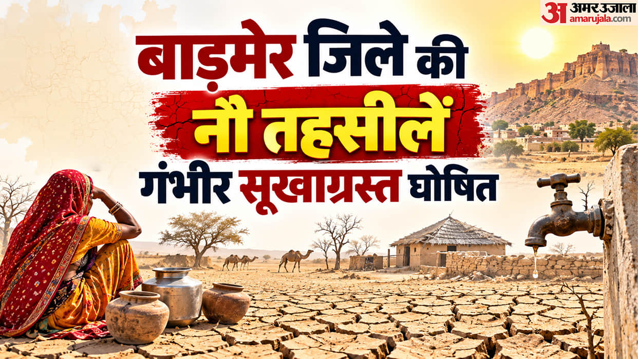 Barmer Drought 9 Tehsils Declared Severe Drought 10 Fodder Depots