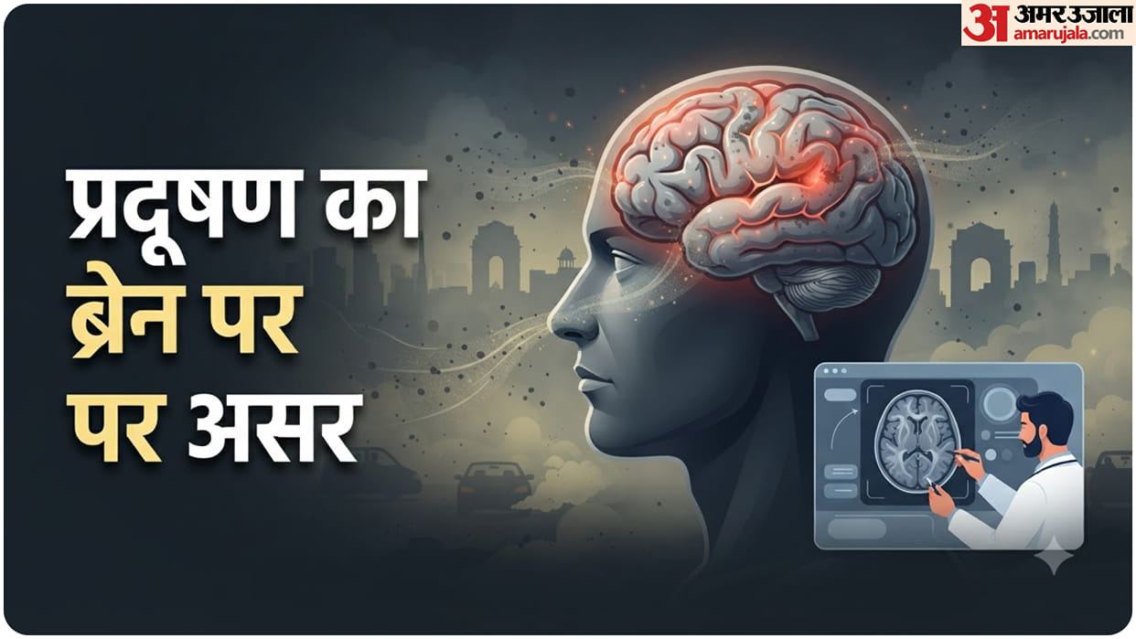 How PM2.5 Particles May Reach the Brain and how it affects Memory and Brain Function