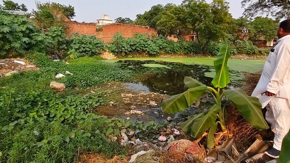 तालाब।