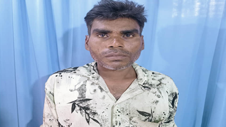 Kanpur: Driver crushed to death between two trucks; video goes viral