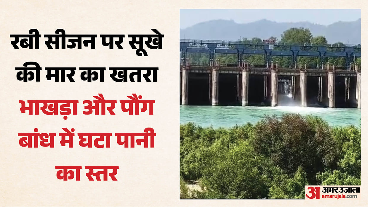 Water levels in Bhakra and Pong dams have decreased