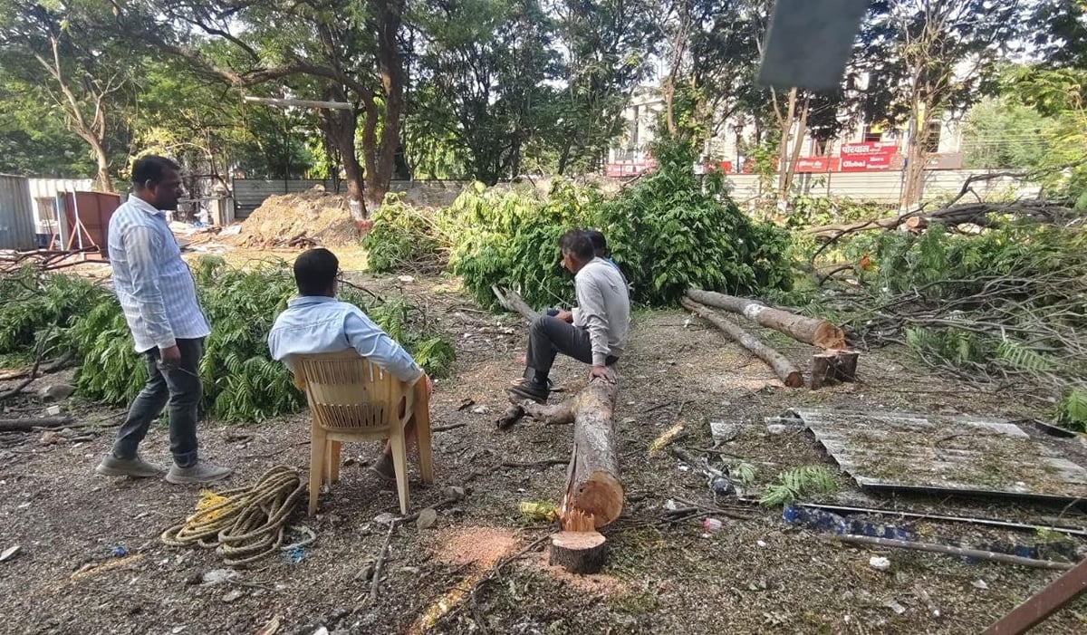 इंदौर मेट्रोः उजड़ने लगे हजारों तोतों के बसेरे, रानी सराय में पेड़ों पर चलने लगी आरी