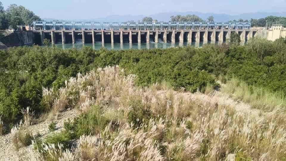 Water levels in Bhakra and Pong dams have decreased