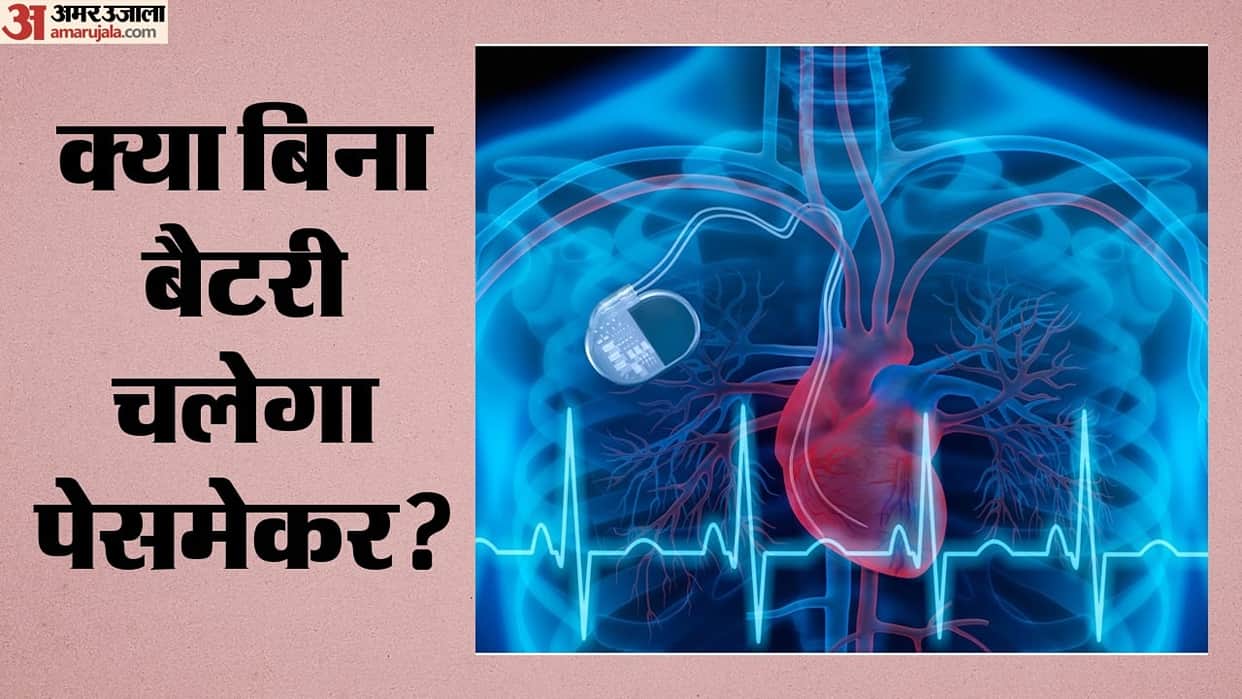 Heartbeat-Powered Pacemaker: Scientists Develop Microscopic Generators in Human Heart Tissue