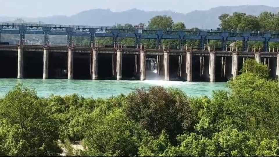 Water levels in Bhakra and Pong dams have decreased