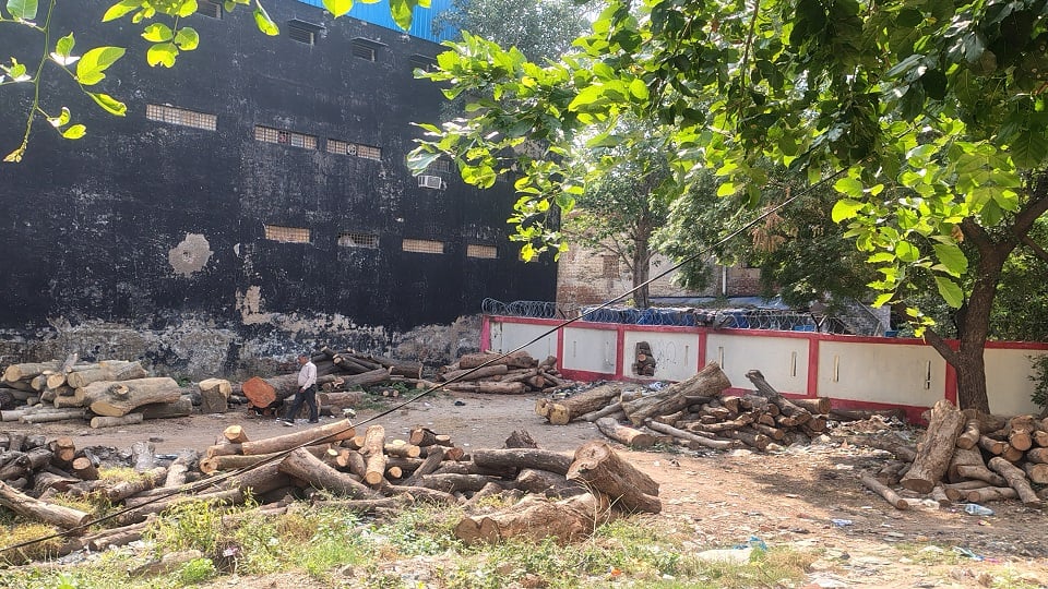 गजब का है हाल: स्कूल में चल रही आरा मशीन, जहां खेलते हैं बच्चे; वहीं काटी जा रही हैं लकड़ियां
