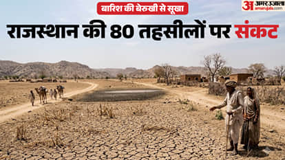 (प्रतीकात्मक फोटो)