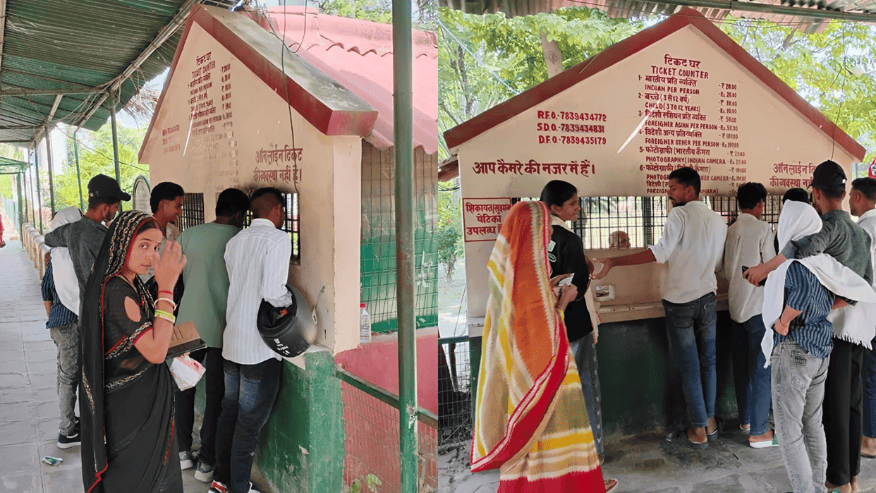 Sarnath Mini Zoo Entry tickets now available online separate counter also opened