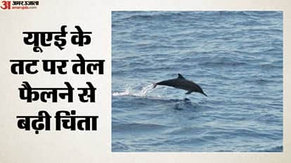यूएई के तट पर तेल फैलने से बढ़ी चिंता