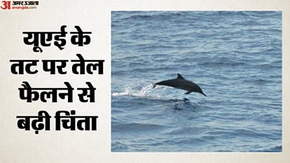 यूएई के तट पर तेल फैलने से बढ़ी चिंता