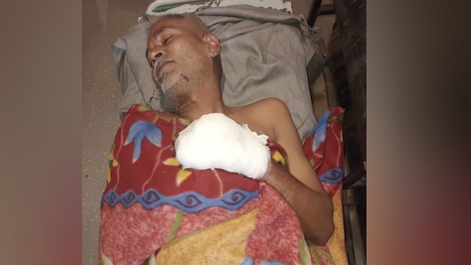 Meerut: A villager was shot twice in Baparsi; a dog was also killed in the firing
