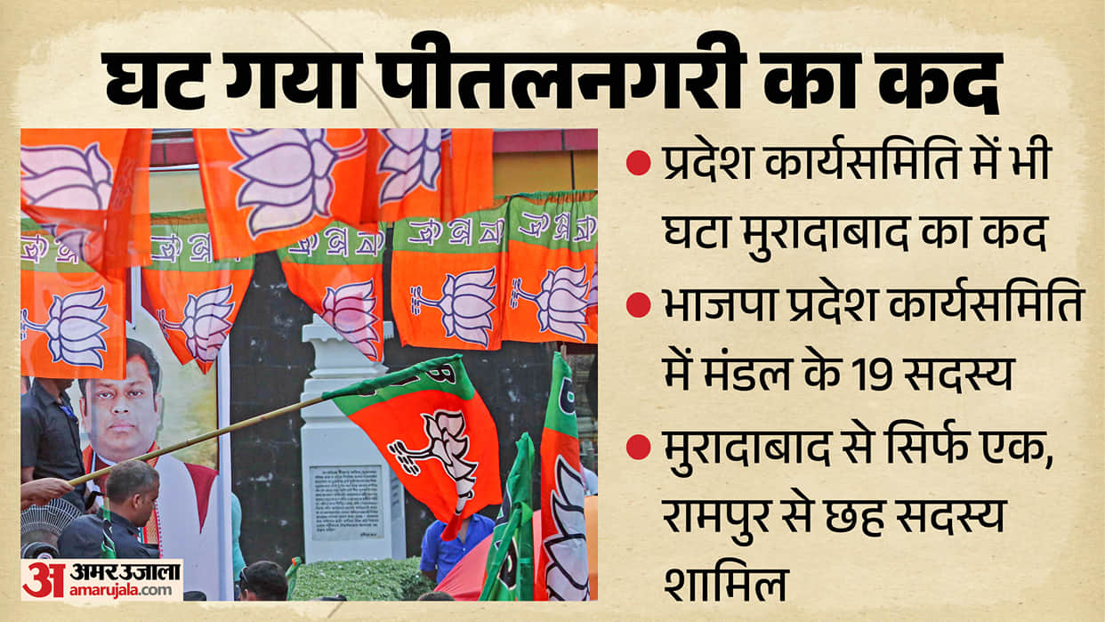 Moradabad Representation in UP BJP State Committee Drops from 3 Members to Just 1