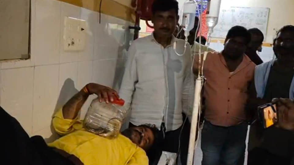 After being bitten by snake, an intoxicated man trapped snake in container and arrived at district hospital