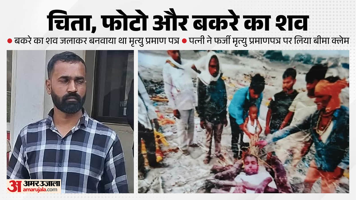 UP Crime: Man Burns Goat's Body, Fakes Death Certificate and Claims ₹10 Lakh Insurance