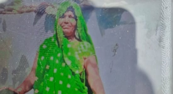 मृतका की फाइल फोटो