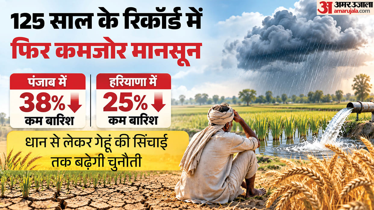 Weak monsoon in Punjab Haryana Data from 1911 to 2026 points to concerns over drought