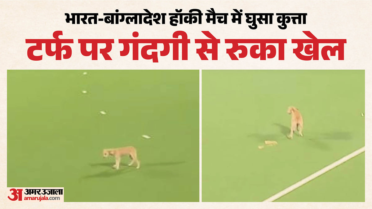 एशियन हॉकी चैंपियंस ट्रॉफी:भारत-बांग्लादेश मैच के दौरान मैदान में घुसा कुत्ता, टर्फ पर की गंदगी; देखें वीडियो – A Dog Entered The Field During The India-bangladesh Match