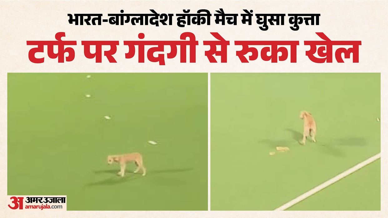 A dog entered the field during the India-Bangladesh match
