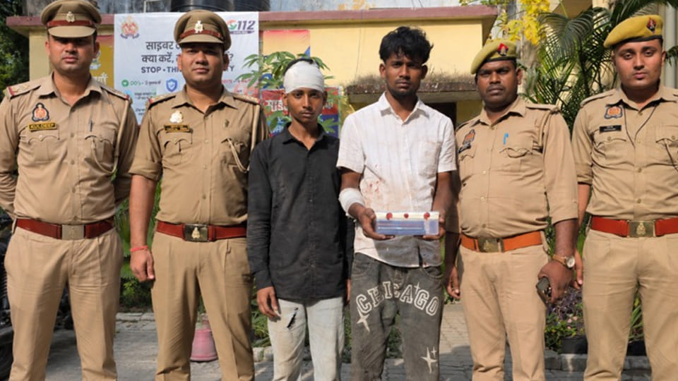 Robbers who snatched a mobile phone and fled saw their bike skid; both were injured and subsequently arrested