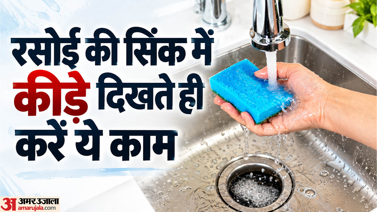 क्लीनिंग टिप्स: किचन सिंक में पनप रहे हैं कीड़े, छुटकारा पाने के लिए अपनाएं ये उपाय