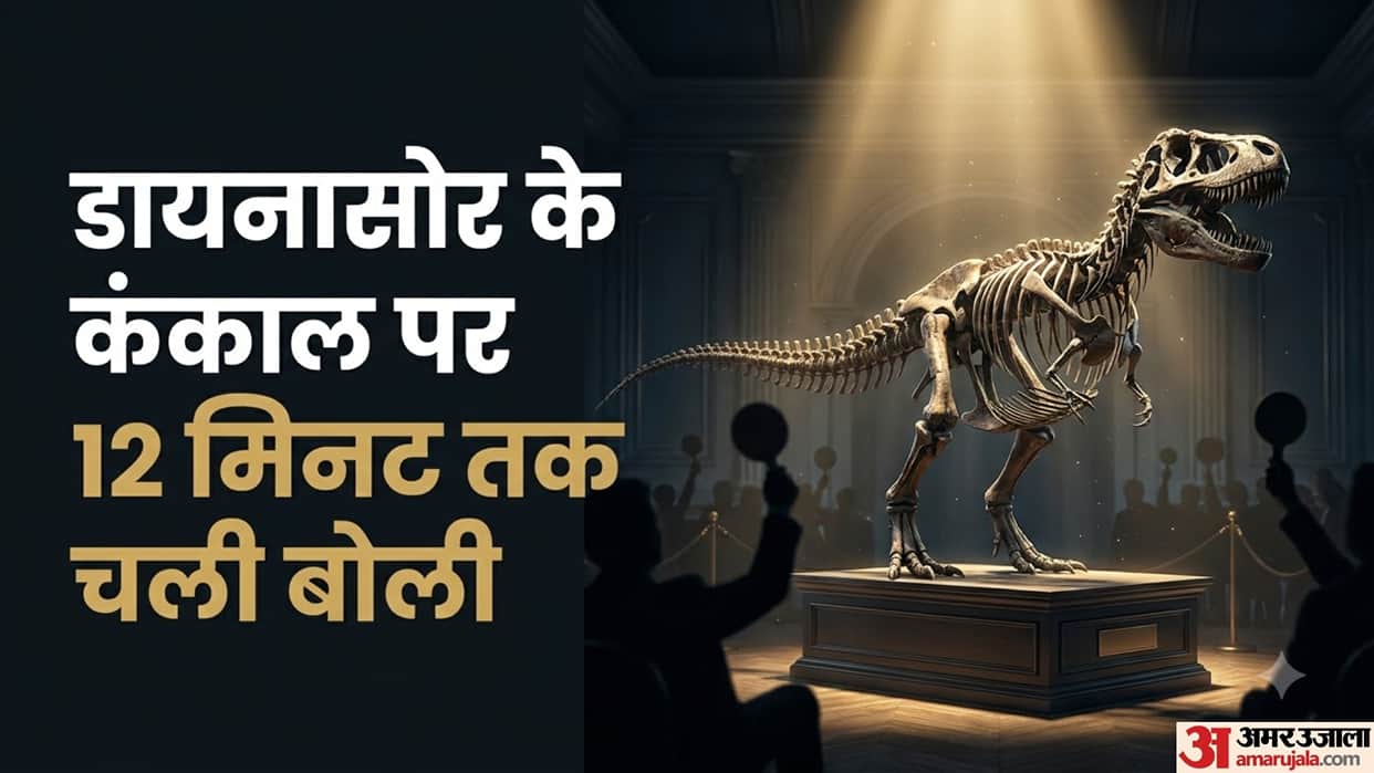 Dinosaur Fossil Auction Sets Records With Stunning Price