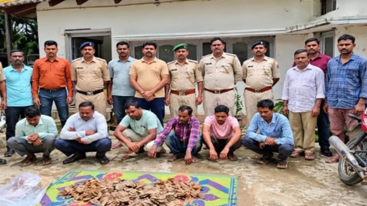 Dantewada: Six Held in Pangolin Trafficking Case; 14 Kg of Skin and Scales Seized by Forest Officials