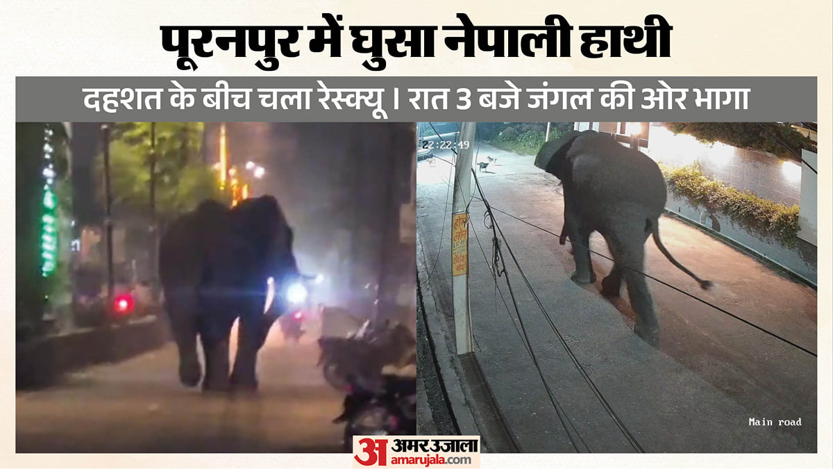 पीलीभीत: रिहायशी इलाके में घुसा नेपाली हाथी, लोगों की उड़ी नींद, पांच घंटे तक रही दहशत; देखें वीडियो