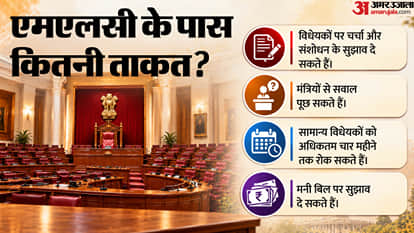 Explainer: How Powerful Are MLCs? What Is Their Salary and What Benefits Do They Get?