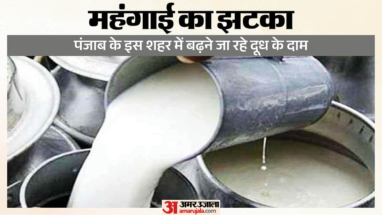 Milk prices in Ludhiana to increase from November 1st