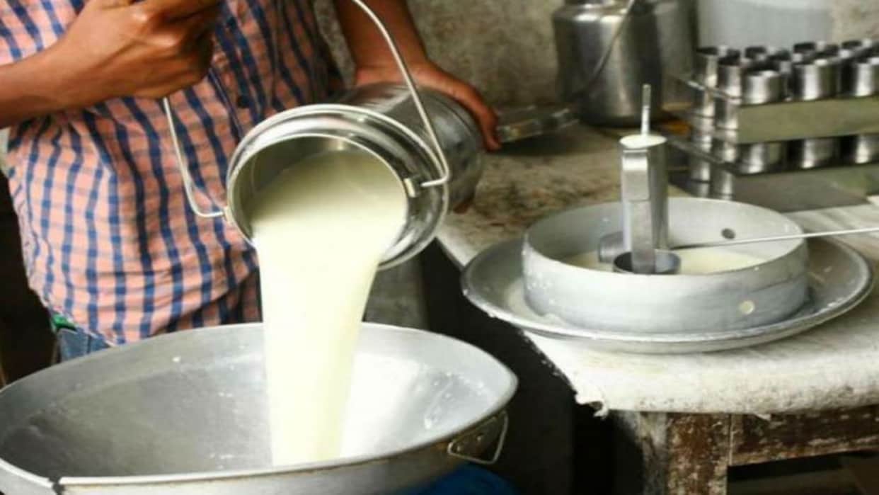 Mandsaur: Police Bust Suspected Fake Milk Unit; Chemicals Seized, Two Brothers Flee After Raid