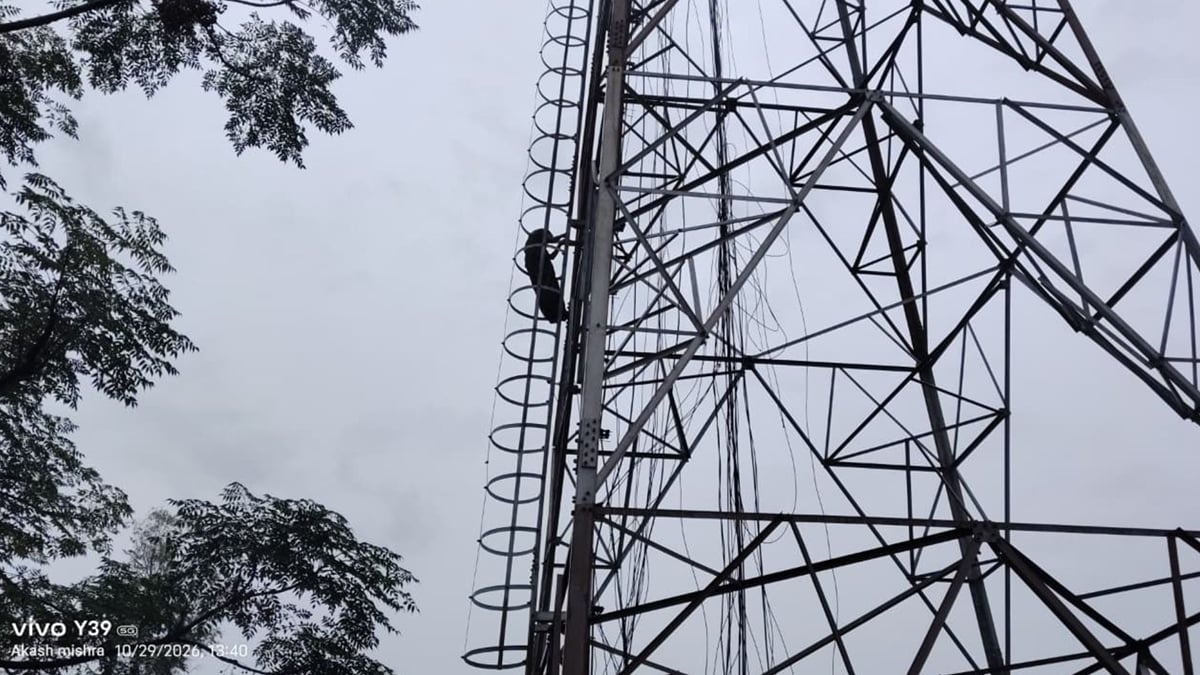 जौनपुर: प्रेमी के ठुकराने पर मोबाइल टावर पर चढ़ी विवाहिता, ढाई घंटे की मशक्कत के बाद पुलिस ने उतारा