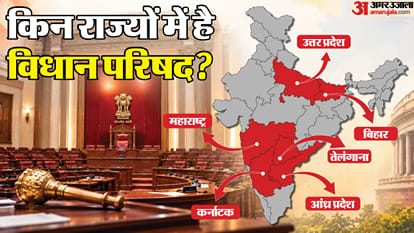 Explainer: How Powerful Are MLCs? What Is Their Salary and What Benefits Do They Get?