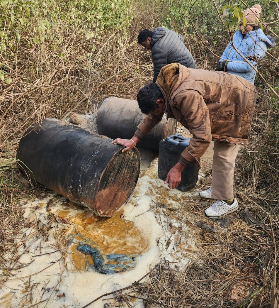 Excise caught two hundred liters of raw liquor from the forest of Alum and Jasala