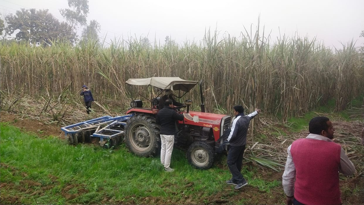 25 bighas of land encroachment freed
