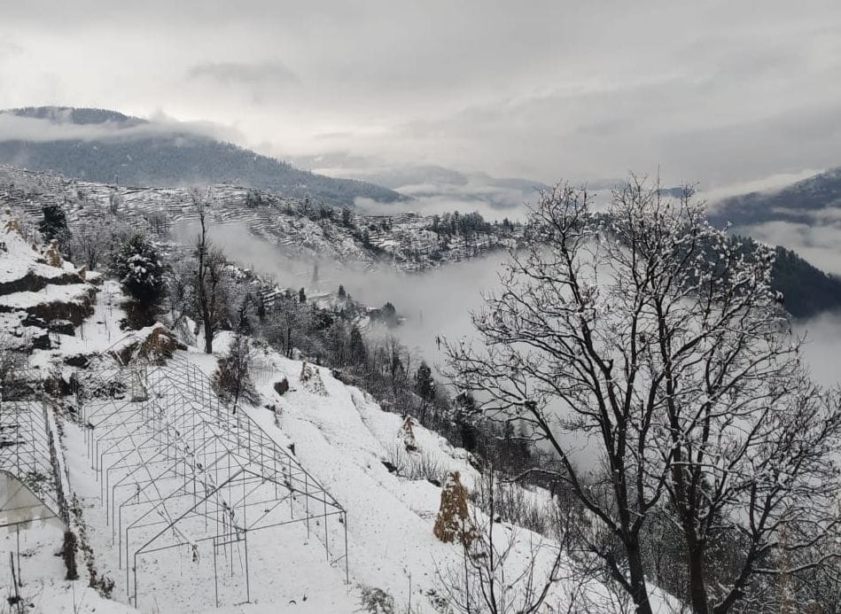 The faces of farmers blossomed due to snowfall and rain