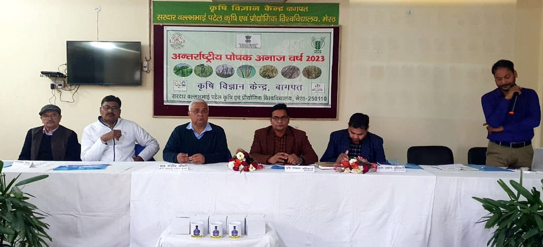 Emphasis on the production of coarse grains in the seminar