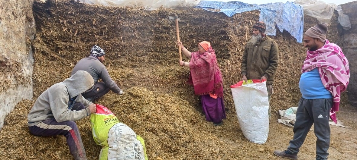 Vedavati's knowledge, a boon for cattle herders