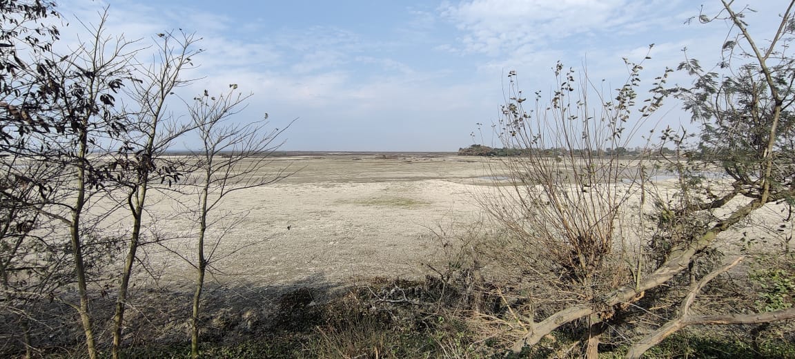Birds flew away when water was drawn from Haiderpur