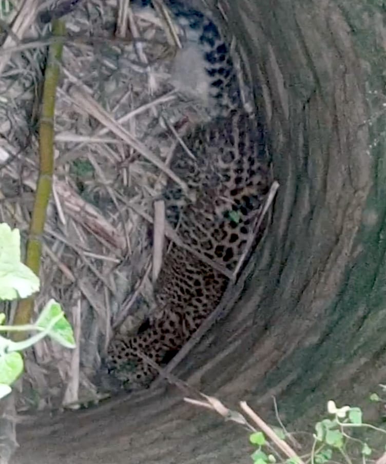 Guldar fell in 15 feet deep well, team engaged in rescue
