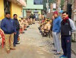 आईटीआई रोड स्थित करणी सेना कार्यालय पर तैनात पीएसी के जवान।