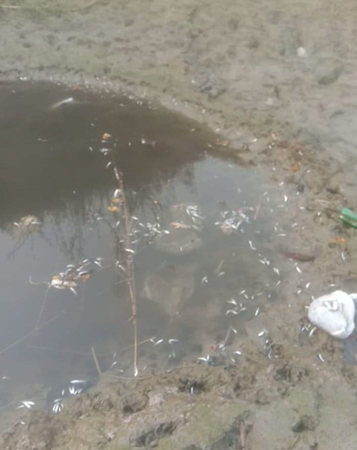 Yamuna is no longer life-giving