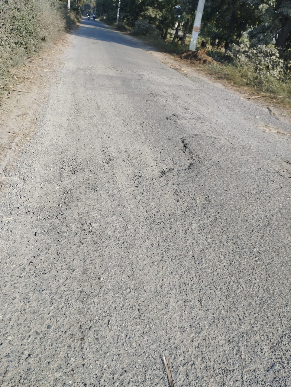Road will be widened from Haldaur to Daranagar